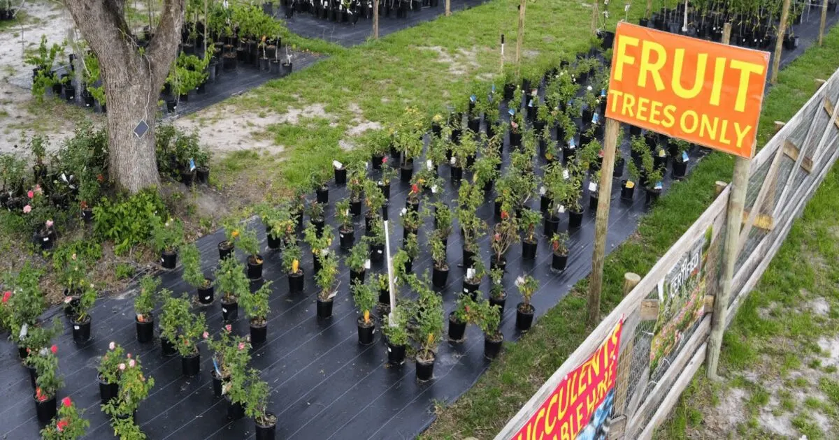 About page banner showcasing the nursery from an arial view