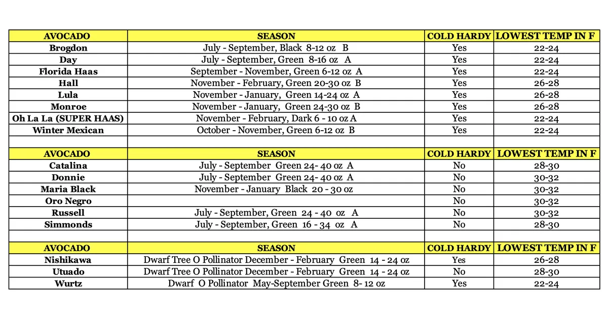 Fruit Trees Only Avocado Specification Sheet Banner